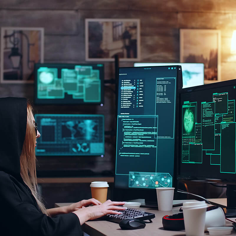 Programming & Web Development